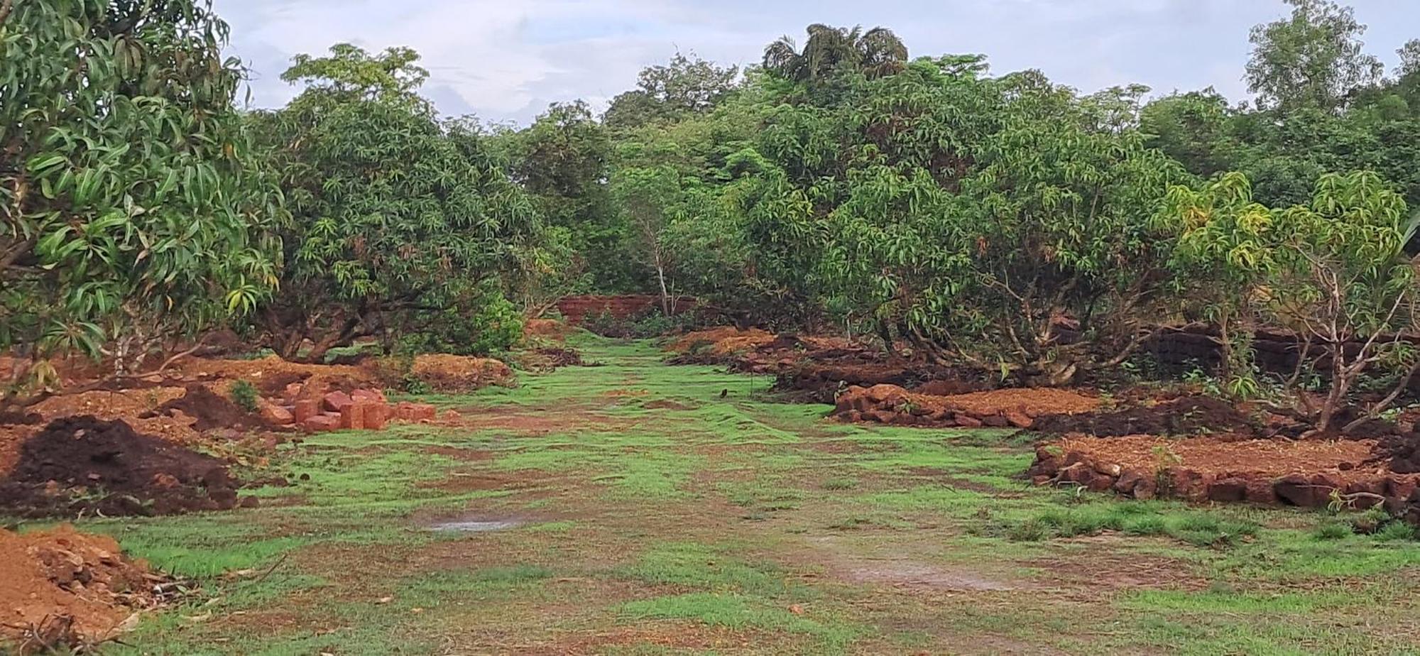 Arpita Farmstay Mālvan Exteriör bild