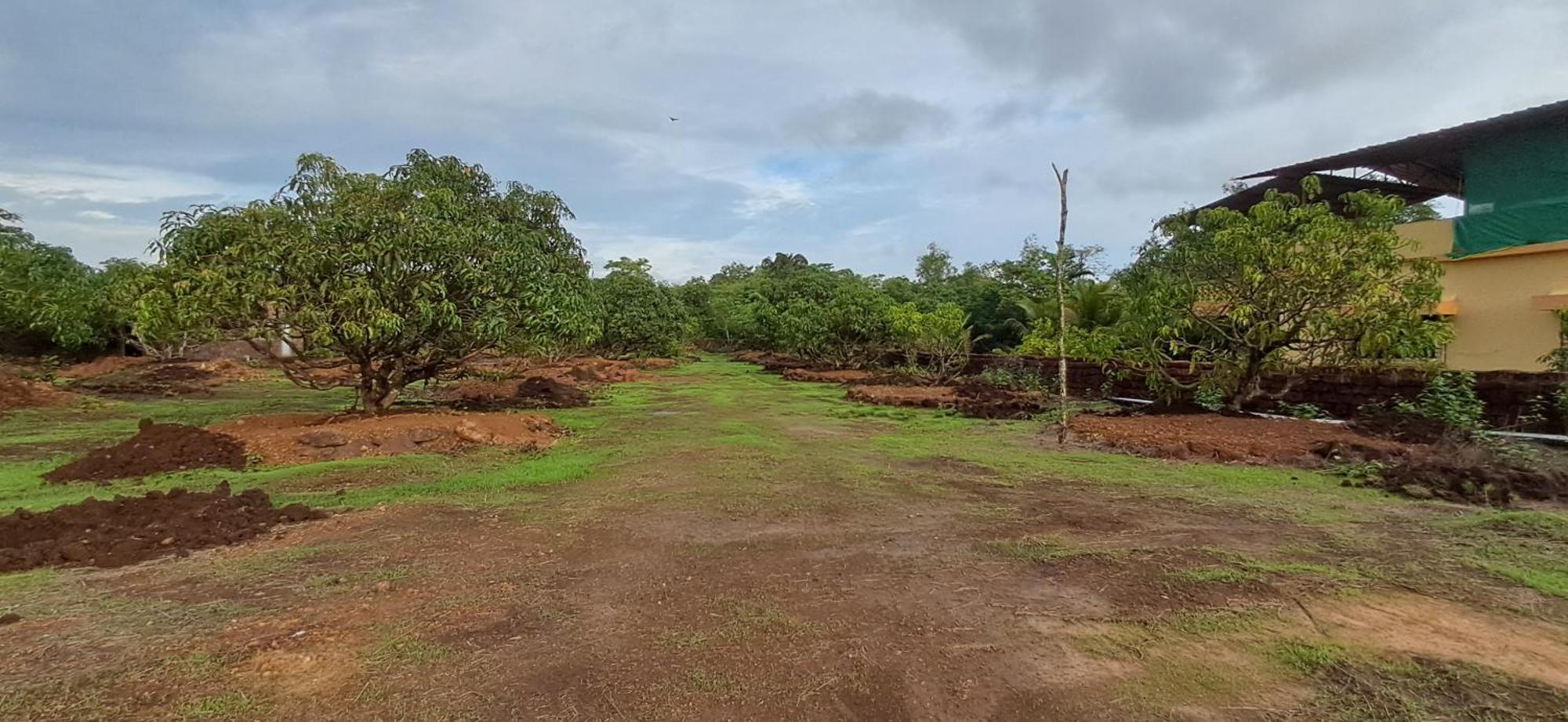 Arpita Farmstay Mālvan Exteriör bild